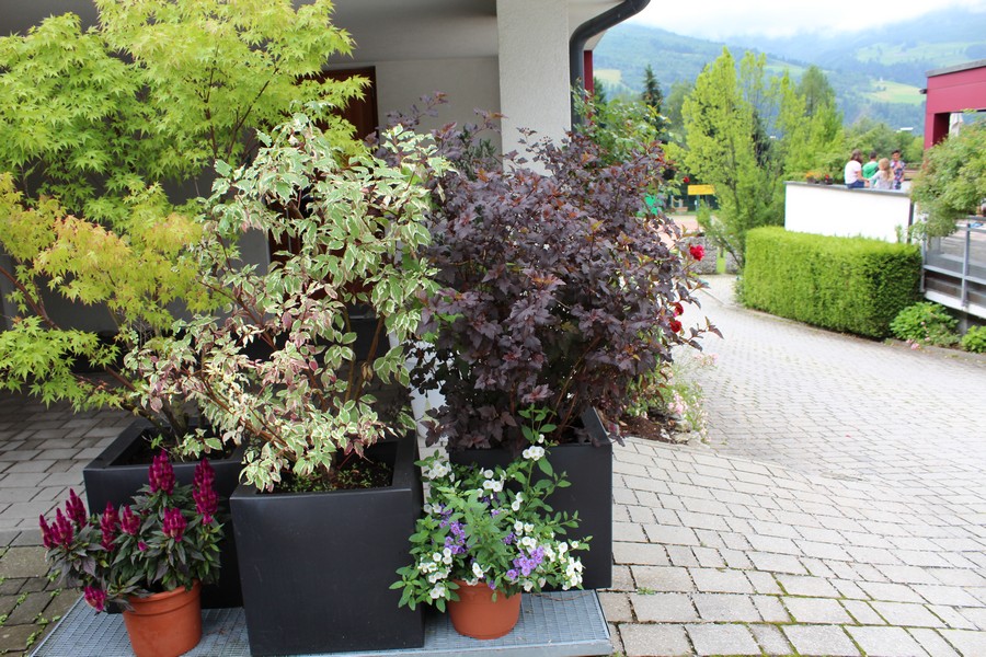 Village Camps International Summer Camp Zell am See, Austria 2025-07-26 https://www.villagecamps.com/journals_admin/images/1531-2359-IMG_4845.jpg