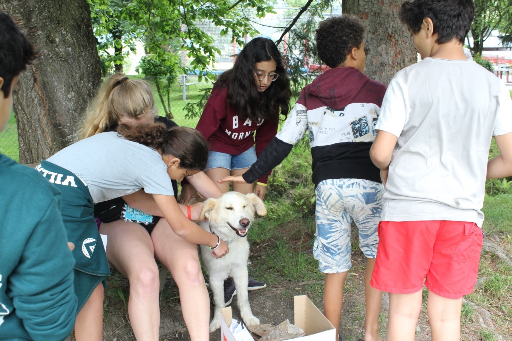 Village Camps International Summer Camp Zell am See, Austria 2026-07-05 https://www.villagecamps.com/journals_admin/images/1970-5086-IMG_3225.jpg Village Camps International Summer Camp Zell am See, Austria 2026-07-05 https://www.villagecamps.com/journals_admin/images/1970-5086-IMG_3225.jpg