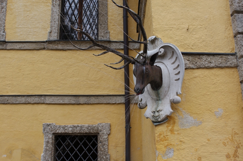 Village Camps International Summer Camp Zell am See, Austria 2025-07-26 https://www.villagecamps.com/journals_admin/images/1972-8767-IMG_4226.jpg