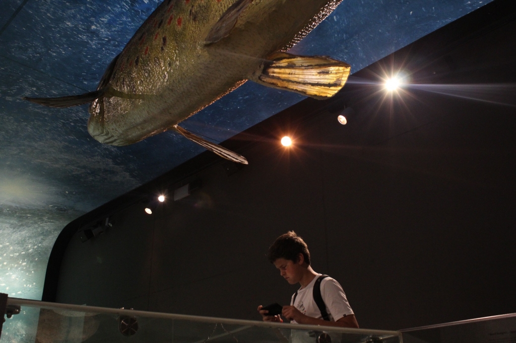 Village Camps International Summer Camp Zell am See, Austria 2025-07-26 https://www.villagecamps.com/journals_admin/images/2035-9868-IMG_6789.jpg