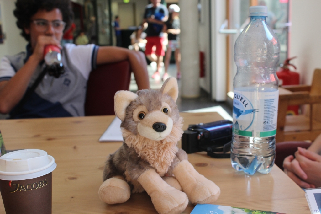 Village Camps International Summer Camp Zell am See, Austria 2025-07-26 https://www.villagecamps.com/journals_admin/images/2035-9923-IMG_6856.jpg