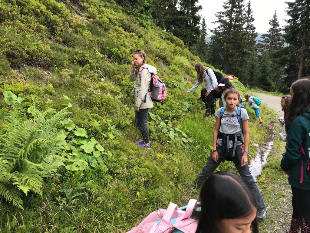 Village Camps International Summer Camp Zell am See, Austria 2026-07-05 https://www.villagecamps.com/journals_admin/images/2037-1624-IMG_9137.jpg