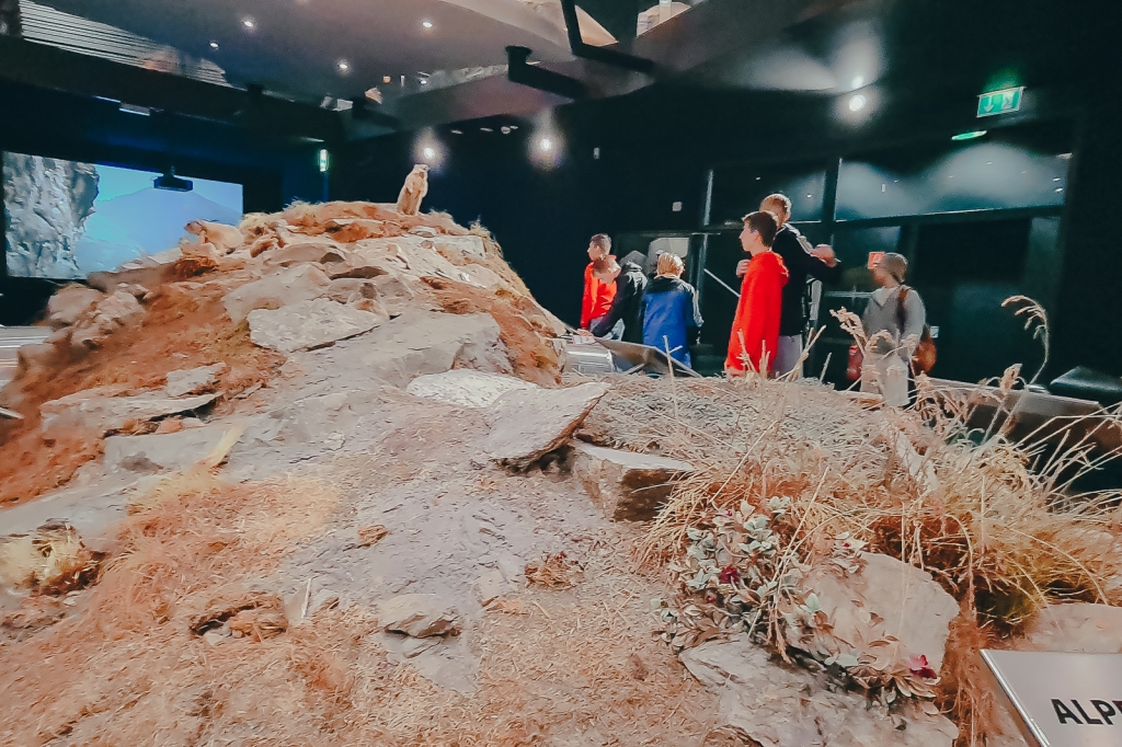 Village Camps International Summer Camp Zell am See, Austria 2025-07-26 https://www.villagecamps.com/journals_admin/images/2175-2555-07_07_2022_Village_Camp_Zell_am_See_4th_day_42.jpg