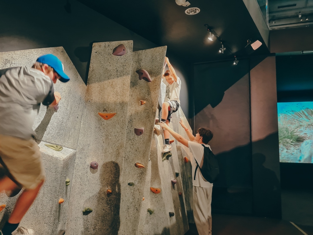 Village Camps International Summer Camp Zell am See, Austria 2026-07-05 https://www.villagecamps.com/journals_admin/images/2515-3007-21_07_2022_Village_Camp_Zell_Am_See_5th_Day_149.jpg Village Camps International Summer Camp Zell am See, Austria 2026-07-05 https://www.villagecamps.com/journals_admin/images/2515-3007-21_07_2022_Village_Camp_Zell_Am_See_5th_Day_149.jpg