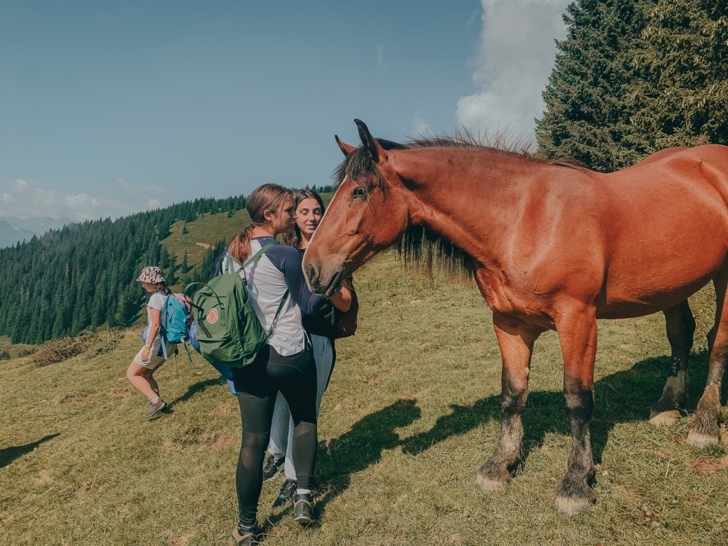 Village Camps International Summer Camp Zell am See, Austria 2026-07-05 https://www.villagecamps.com/journals_admin/images/2518-0553-24_07_2022_Village_Camp_Zell_Am_See_7th_Day_313.jpg Village Camps International Summer Camp Zell am See, Austria 2026-07-05 https://www.villagecamps.com/journals_admin/images/2518-0553-24_07_2022_Village_Camp_Zell_Am_See_7th_Day_313.jpg