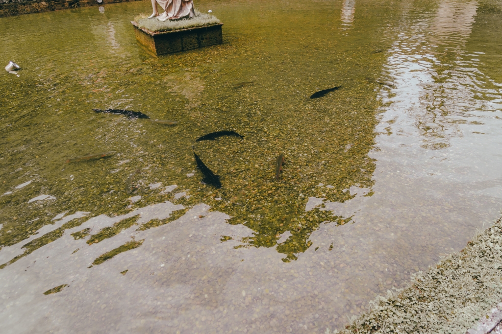 Village Camps International Summer Camp Zell am See, Austria 2026-07-05 https://www.villagecamps.com/journals_admin/images/2521-0486-27_07_2022_Village_Camp_Zell_Am_See_10th_Day_13.jpg Village Camps International Summer Camp Zell am See, Austria 2026-07-05 https://www.villagecamps.com/journals_admin/images/2521-0486-27_07_2022_Village_Camp_Zell_Am_See_10th_Day_13.jpg