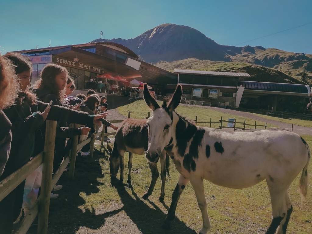 Village Camps International Summer Camp Zell am See, Austria 2025-07-26 https://www.villagecamps.com/journals_admin/images/2522-3990-28_07_2022_Village_Camp_Zell_Am_See_11th_Day_59.jpg