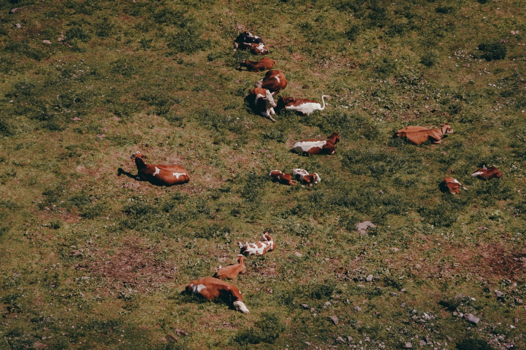 Village Camps International Summer Camp Zell am See, Austria 2025-07-26 https://www.villagecamps.com/journals_admin/images/2522-3995-28_07_2022_Village_Camp_Zell_Am_See_11th_Day_57.jpg