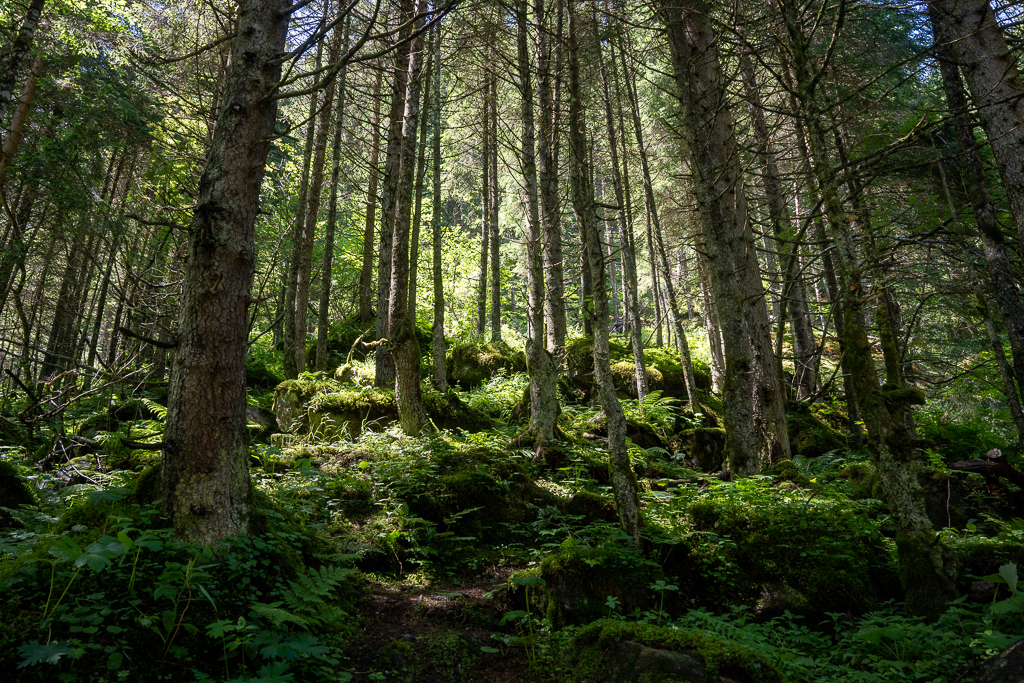 Village Camps International Summer Camp Zell am See, Austria 2025-07-26 https://www.villagecamps.com/journals_admin/images/2570-2020-05_07_2023_4th_day_VC_David8Photography_52.jpg
