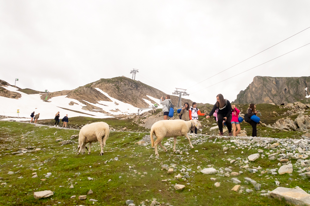 Village Camps International Summer Camp Zell am See, Austria 2025-07-26 https://www.villagecamps.com/journals_admin/images/2574-9406-08_09_07_2023_7th8th_Day_David8Photography_0151.jpg