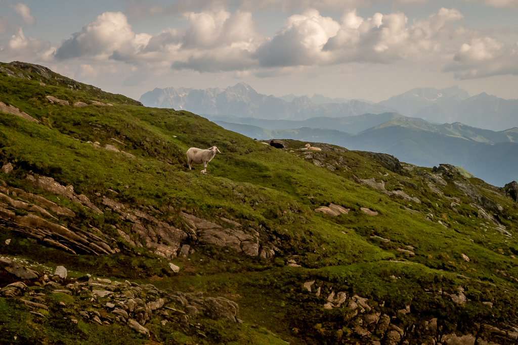 Village Camps International Summer Camp Zell am See, Austria 2026-07-05 https://www.villagecamps.com/journals_admin/images/2574-9474-08_09_07_2023_7th8th_Day_David8Photography_01181.jpg
