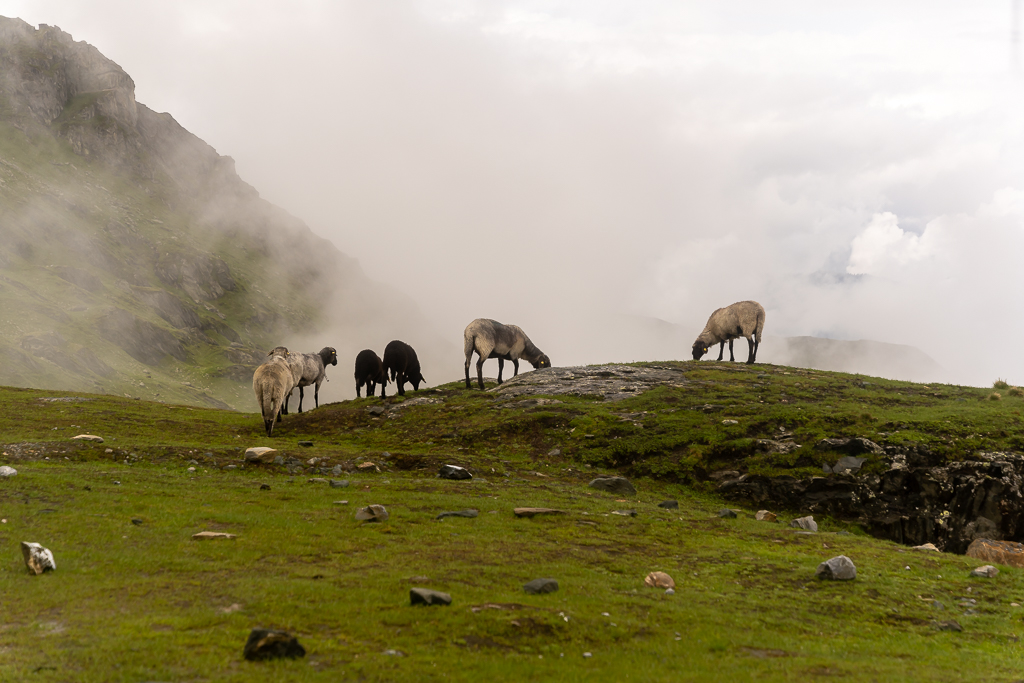 Village Camps International Summer Camp Zell am See, Austria 2025-07-26 https://www.villagecamps.com/journals_admin/images/2658-5586-22_07_2023_7th_Day_54.jpg