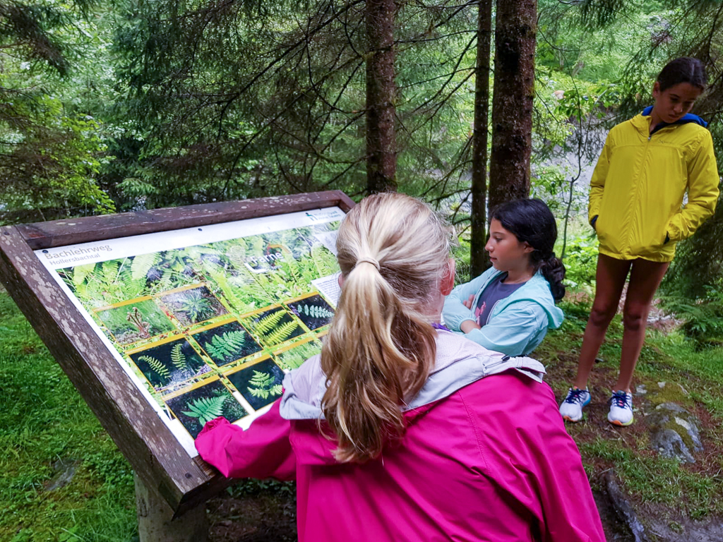 Village Camps International Summer Camp Zell am See, Austria 2025-07-26 https://www.villagecamps.com/journals_admin/images/2658-5680-23_07_2023_8th_Day_118.jpg