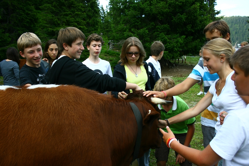 Village Camps International Summer Camp Zell am See, Austria 2026-07-05 https://www.villagecamps.com/journals_admin/images/268-16-VC_2011_Austria_day7_54.jpg Village Camps International Summer Camp Zell am See, Austria 2026-07-05 https://www.villagecamps.com/journals_admin/images/268-16-VC_2011_Austria_day7_54.jpg