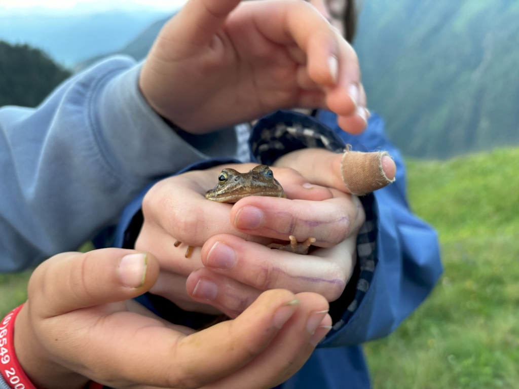 Village Camps International Summer Camp Zell am See, Austria 2025-07-26 https://www.villagecamps.com/journals_admin/images/2785-9691-IMG_5992.jpg
