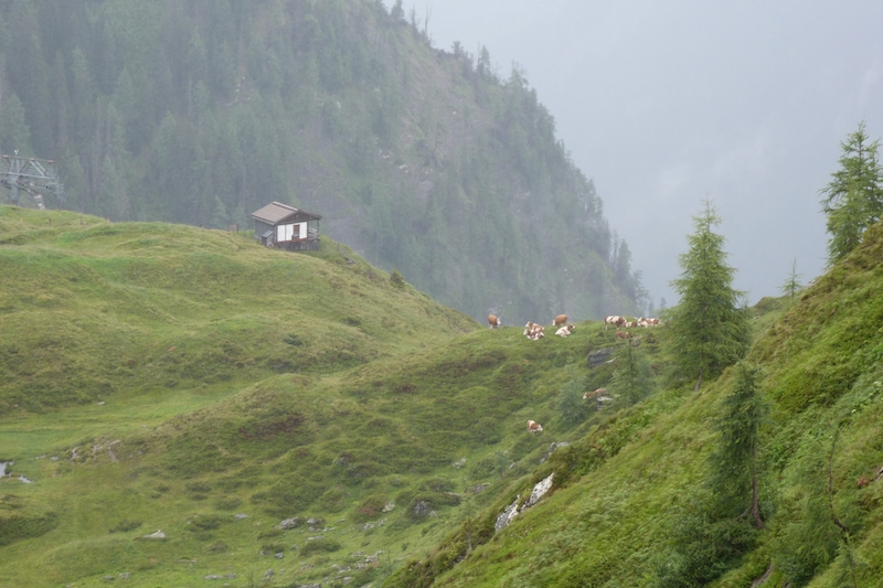 Village Camps International Summer Camp Zell am See, Austria 2025-07-26 https://www.villagecamps.com/journals_admin/images/282-15-VC_2011_Austria_day7_27.jpg
