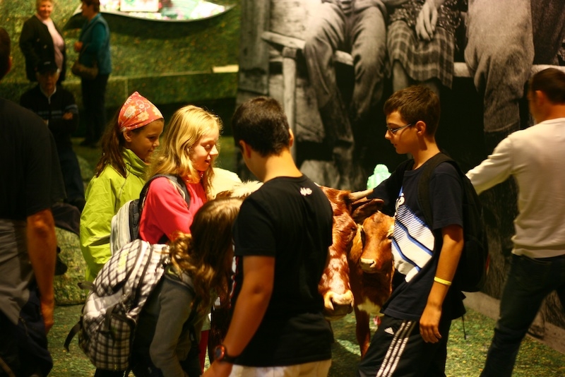 Village Camps International Summer Camp Zell am See, Austria 2026-07-05 https://www.villagecamps.com/journals_admin/images/288-34-VC_2011_Austria_day13_1.jpg