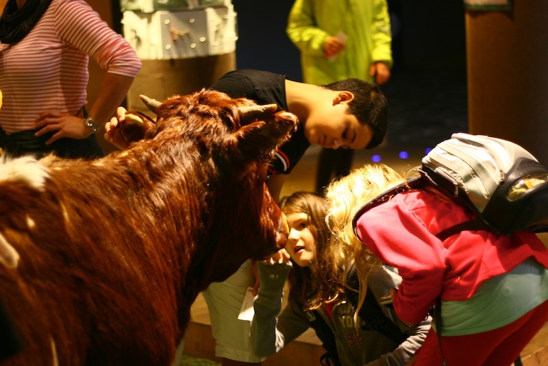Village Camps International Summer Camp Zell am See, Austria 2026-07-05 https://www.villagecamps.com/journals_admin/images/288-34-VC_2011_Austria_day13_3.jpg
