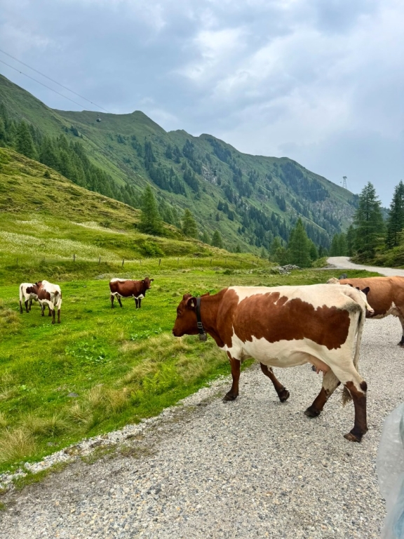 Village Camps International Summer Camp Zell am See, Austria 2026-07-28 https://www.villagecamps.com/journals_admin/images/2994-7394-CDYW7736.jpg Village Camps International Summer Camp Zell am See, Austria 2026-07-28 https://www.villagecamps.com/journals_admin/images/2994-7394-CDYW7736.jpg