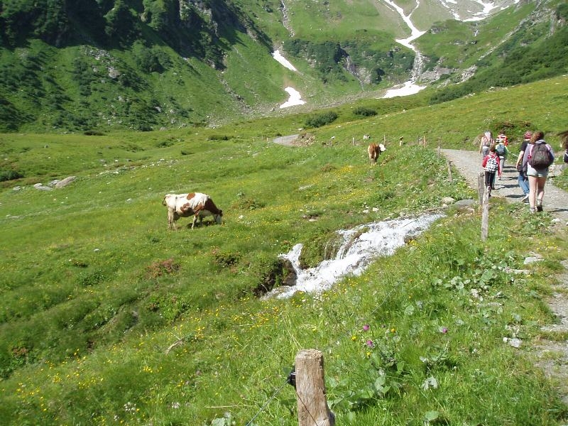 Village Camps International Summer Camp Zell am See, Austria 2026-07-05 https://www.villagecamps.com/journals_admin/images/427-16-P7070053.jpg Village Camps International Summer Camp Zell am See, Austria 2026-07-05 https://www.villagecamps.com/journals_admin/images/427-16-P7070053.jpg