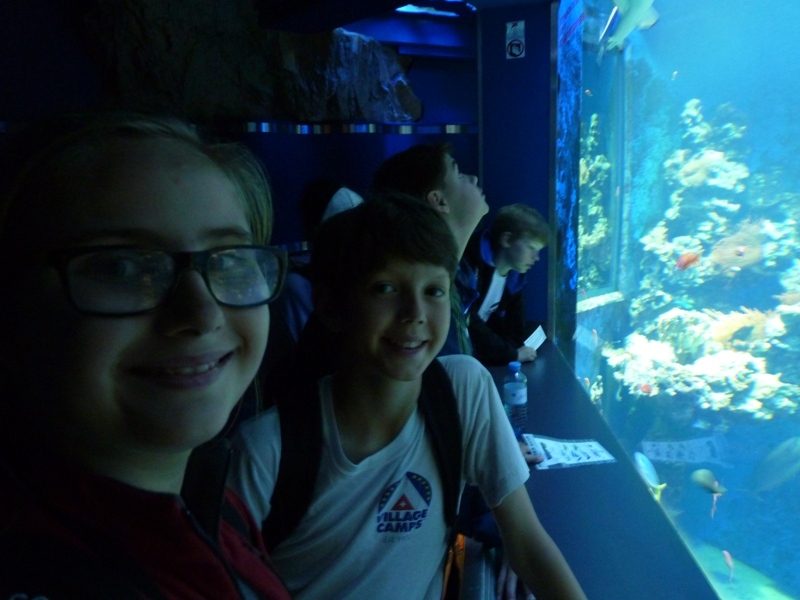 Village Camps International Summer Camp Zell am See, Austria 2025-07-26 https://www.villagecamps.com/journals_admin/images/561-10-P1070367.jpg
