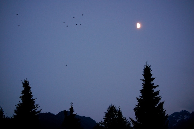 Village Camps International Summer Camp Zell am See, Austria 2026-07-05 https://www.villagecamps.com/journals_admin/images/783-34-DSC_9645.jpg