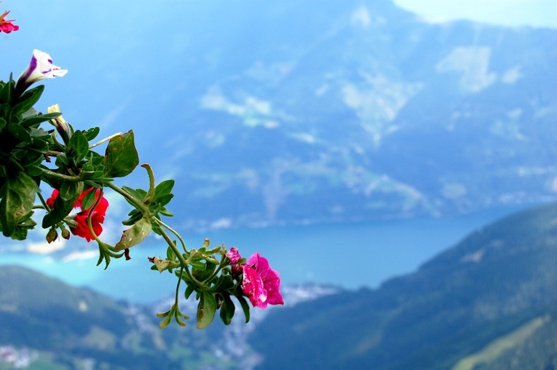 Village Camps International Summer Camp Zell am See, Austria 2026-07-05 https://www.villagecamps.com/journals_admin/images/787-15-DSC_9991.jpg