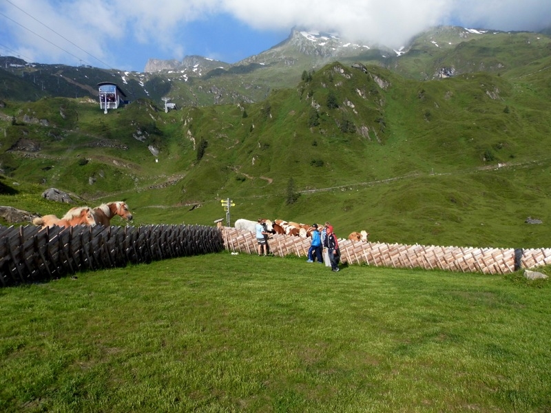 Village Camps International Summer Camp Zell am See, Austria 2025-07-26 https://www.villagecamps.com/journals_admin/images/787-15-P1000076.jpg