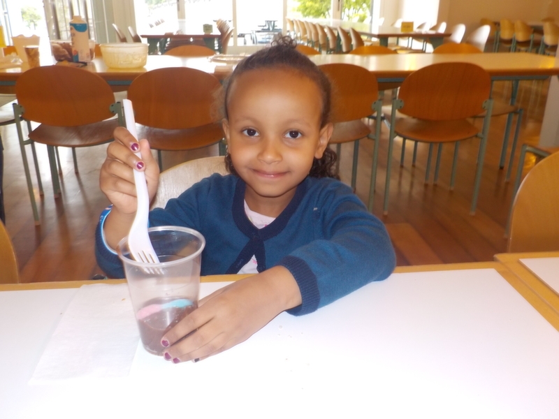 Village Camps International Summer Camp VDC Geneva 2016-08-12 https://www.villagecamps.com/journals_admin/images/1127-22-2014-07-08_100025.jpg