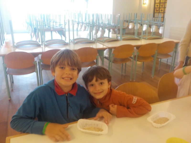 Village Camps International Summer Camp VDC Geneva 2016-08-12 https://www.villagecamps.com/journals_admin/images/1129-41-dscn0159.jpg