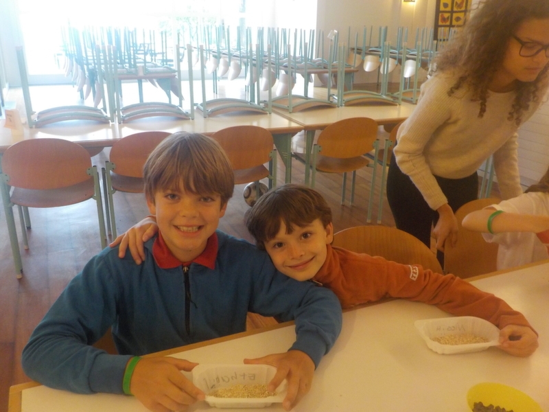 Village Camps International Summer Camp VDC Geneva 2016-08-12 https://www.villagecamps.com/journals_admin/images/1129-41-dscn0160.jpg