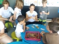 Village Camps International Summer Camp VDC Geneva 2014-07-16