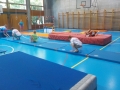 Village Camps International Summer Camp VDC Geneva 2014-07-25