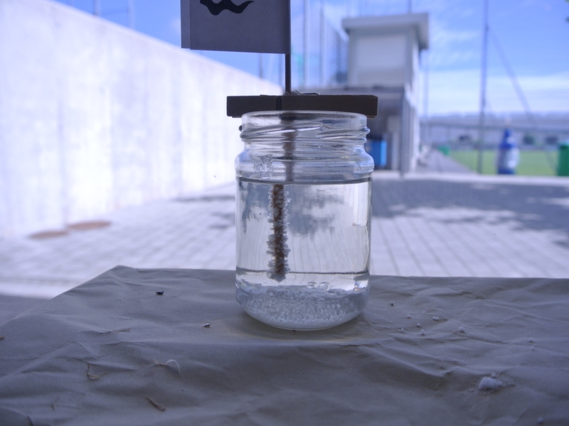 Village Camps International Summer Camp VDC Geneva 2016-08-12 https://www.villagecamps.com/journals_admin/images/1152-34-dsc_7925.jpg