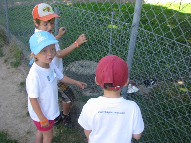 Village Camps International Summer Camp VDC Geneva 2016-08-12 https://www.villagecamps.com/journals_admin/images/123-34-IMG_2853.jpg