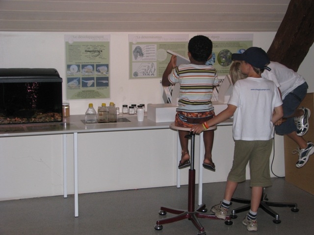 Village Camps International Summer Camp VDC Geneva 2016-08-12 https://www.villagecamps.com/journals_admin/images/138-34-IMG_3971.jpg