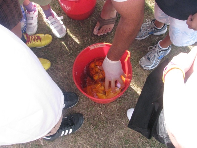 Village Camps International Summer Camp VDC Geneva 2016-08-12 https://www.villagecamps.com/journals_admin/images/142-34-IMG_4731.jpg