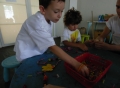 Village Camps International Summer Camp VDC Geneva 2015-08-06