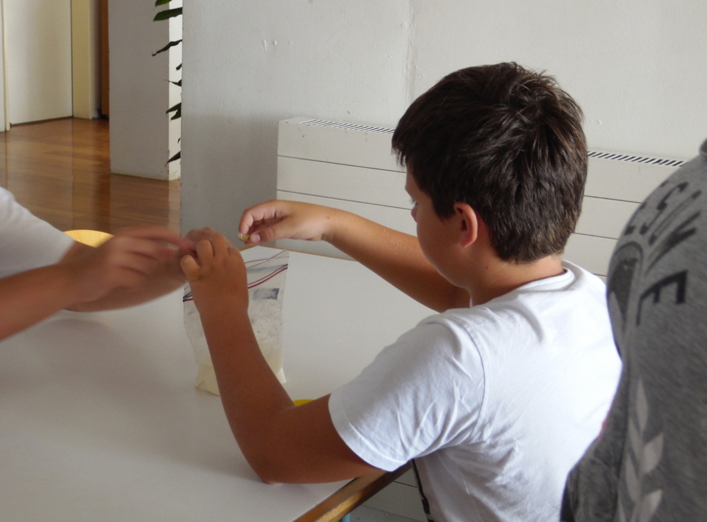 Village Camps International Summer Camp VDC Geneva 2016-08-12 https://www.villagecamps.com/journals_admin/images/1460-0957-SAM_0924.jpg