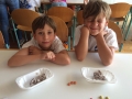 Village Camps International Summer Camp VDC Geneva 2016-07-12