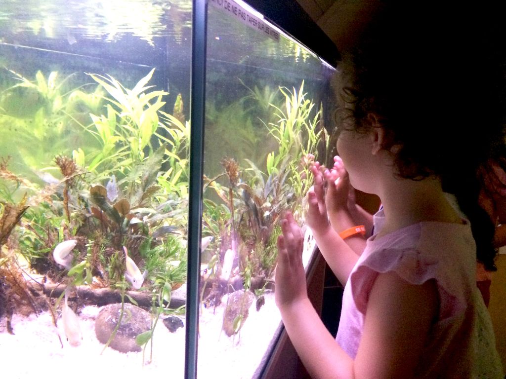 Village Camps International Summer Camp VDC Geneva 2016-08-12 https://www.villagecamps.com/journals_admin/images/1662-2172-IMG_0145.jpg