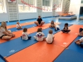 Village Camps International Summer Camp VDC Geneva 2016-08-02