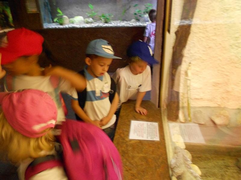 Village Camps International Summer Camp VDC Geneva 2016-08-12 https://www.villagecamps.com/journals_admin/images/459--DSCN0701_800x600.jpg