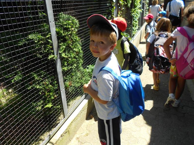 Village Camps International Summer Camp VDC Geneva 2016-08-12 https://www.villagecamps.com/journals_admin/images/459--DSCN0709_800x600.jpg Village Camps International Summer Camp VDC Geneva 2016-08-12 https://www.villagecamps.com/journals_admin/images/459--DSCN0709_800x600.jpg