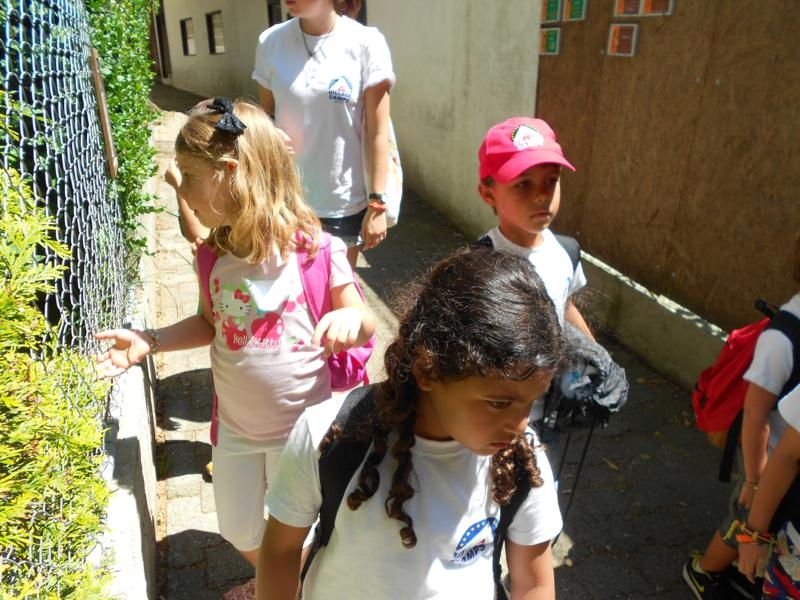 Village Camps International Summer Camp VDC Geneva 2016-08-12 https://www.villagecamps.com/journals_admin/images/459--DSCN0711_800x600.jpg