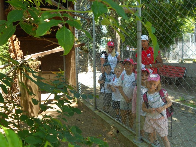 Village Camps International Summer Camp VDC Geneva 2016-08-12 https://www.villagecamps.com/journals_admin/images/459--DSCN0720_800x600.jpg
