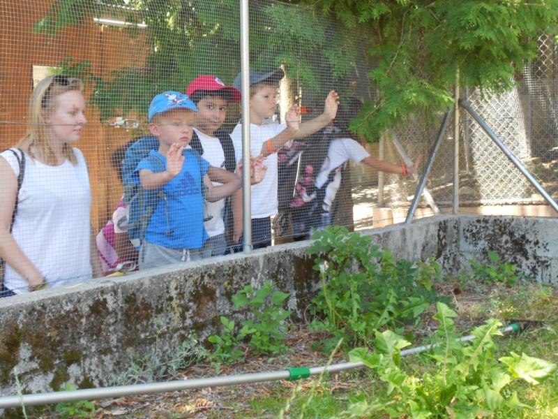 Village Camps International Summer Camp VDC Geneva 2016-08-12 https://www.villagecamps.com/journals_admin/images/459--DSCN0724_800x600.jpg