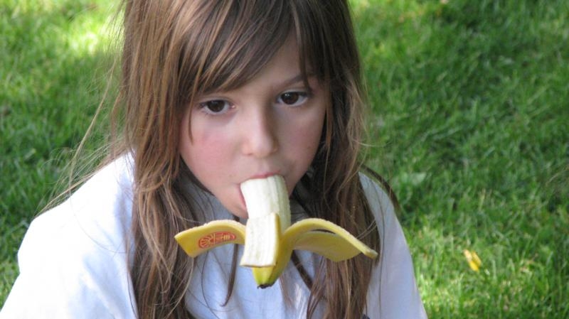 Village Camps International Summer Camp VDC Geneva 2016-08-12 https://www.villagecamps.com/journals_admin/images/459--IMG_7074_800x449.jpg