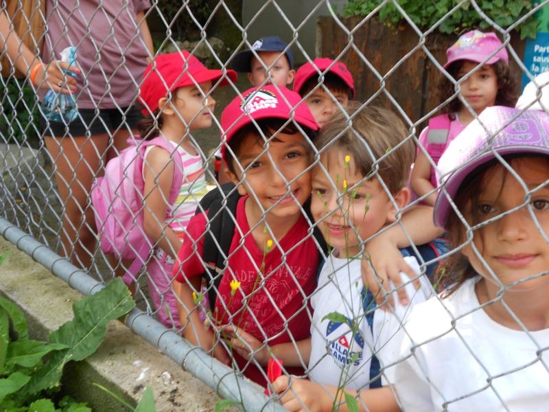 Village Camps International Summer Camp VDC Geneva 2016-08-12 https://www.villagecamps.com/journals_admin/images/460--DSCN0751_800x600.jpg Village Camps International Summer Camp VDC Geneva 2016-08-12 https://www.villagecamps.com/journals_admin/images/460--DSCN0751_800x600.jpg