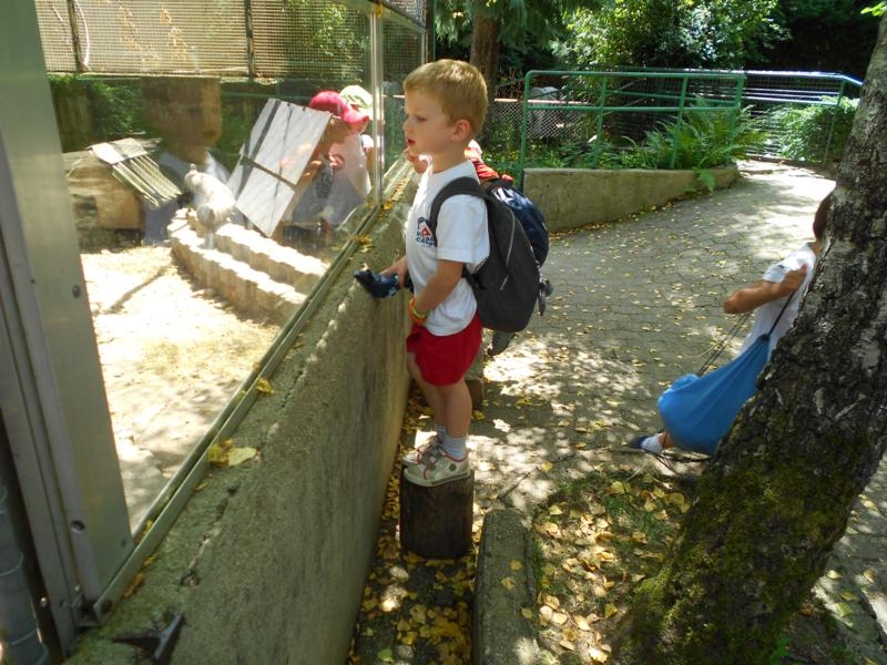 Village Camps International Summer Camp VDC Geneva 2016-08-12 https://www.villagecamps.com/journals_admin/images/460--DSCN0755_800x600.jpg Village Camps International Summer Camp VDC Geneva 2016-08-12 https://www.villagecamps.com/journals_admin/images/460--DSCN0755_800x600.jpg